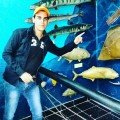 kareem93 32 سنة