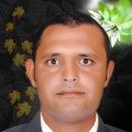 محمدالمصري66 41 سنة
