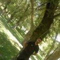 alves-kamel 35 سنة