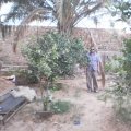 abdelrahim 63 سنة