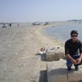 ammar88 37 سنة