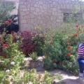 hany303030 38 سنة