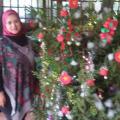 هh4444 54 سنة