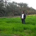toufik2244 48 سنة