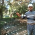 Hassani 54 سنة