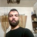 hyena 38 سنة