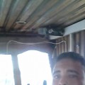 languer 36 سنة