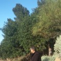 Ra_chid 38 سنة