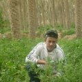 love2015 43 سنة