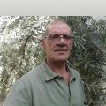 Ali2294 60 سنة