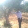 fadifars 44 سنة