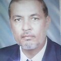 okdoali 66 سنة