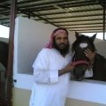 حارثي 55 سنة