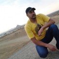 hamada300 42 سنة