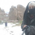majed550 41 سنة