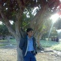 t-1234 38 سنة