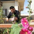 ahmaad55 37 سنة
