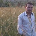 bilalsaed 38 سنة
