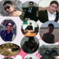 shardysh 42 سنة