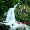 aad 52 سنة