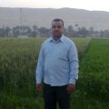 عمروعبالغفار 46 سنة