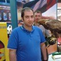 Saad1 38 سنة