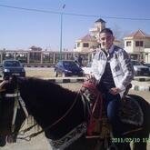 شكلي حجم صغير، 37 سنة هنا من أجل البحث عن شريك لتحقيق زواج عادي تعرف عليّ أكثر من خلال بروفايلي، فقد تكون الصدفة التي تجمعنا أفضل من ألف ميعاد.