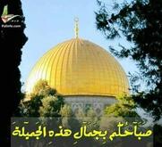 انا من Gaza، أعزب، 55 سنة هنا من أجل البحث عن شريك لتحقيق زواج عادي تعرف عليّ أكثر من خلال بروفايلي، فربّ صدفة خير من ألف ميعاد.