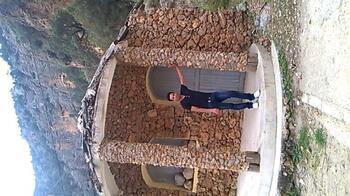 Image 30979