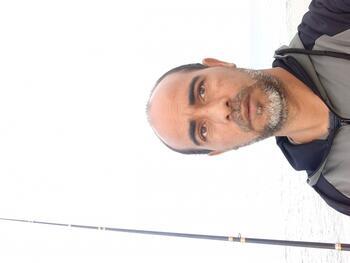 Image 314868