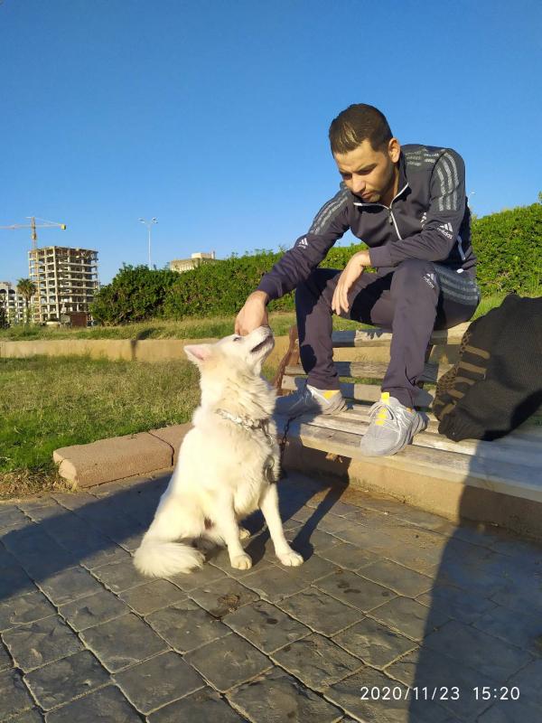 Image 329607