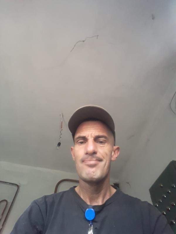 Image 330274