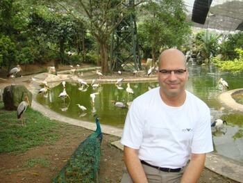 Image 37495