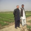 رجال کابل ( أفغانستان ) للتعارف و الزواج الصفحة 1